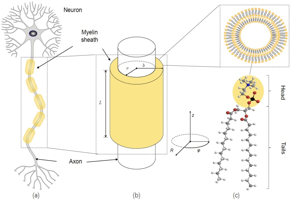 20240814-2.jpg 20240814-2.jpg